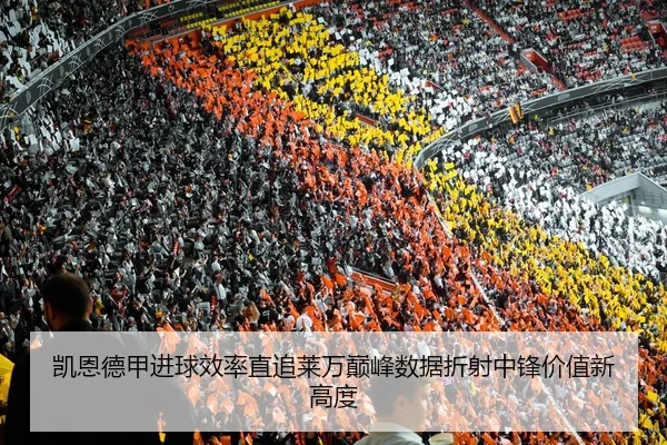 img_1782998799145_8_1_771.jpg