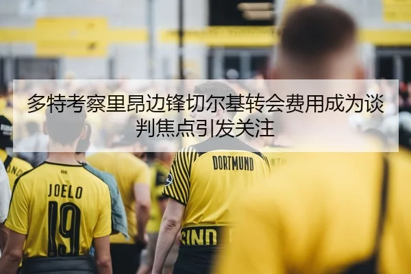 多特考察里昂边锋切尔基转会费用成为谈判焦点引发关注